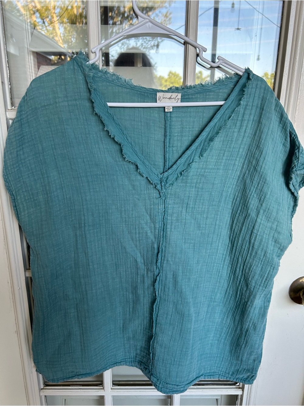 Wonderly Teal Gauzy V-Neck Top